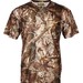 Remington_Forest_1