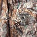 Pro_Hunting_Club_5