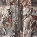 Pro_Hunting_Club_9