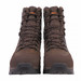 polarzone-brown-waterfow-1